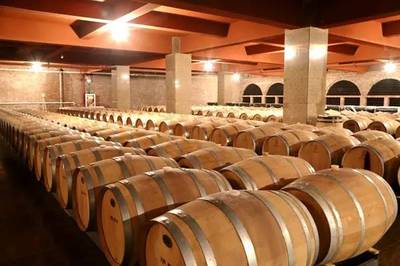 紅寺堡區(qū):負重奔跑唱出&ldquo;年輕的喝彩&rdquo;