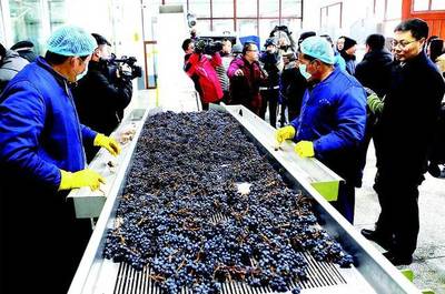 [吉農(nóng)&middot;產(chǎn)業(yè)] 集安舉辦&ldquo;通化山葡萄酒產(chǎn)區(qū)高峰論壇&rdquo;,中國酒莊旅游聯(lián)盟成立!