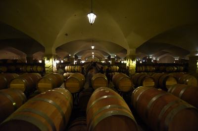 小葡萄撬動大產業(yè)