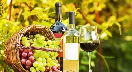 藍(lán)菲葡萄酒學(xué)院丨終于搞清楚有機(jī)葡萄酒、生物動(dòng)力法葡萄酒了!