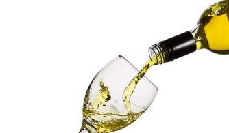 從家到餐桌 一瓶自釀白葡萄酒的自述